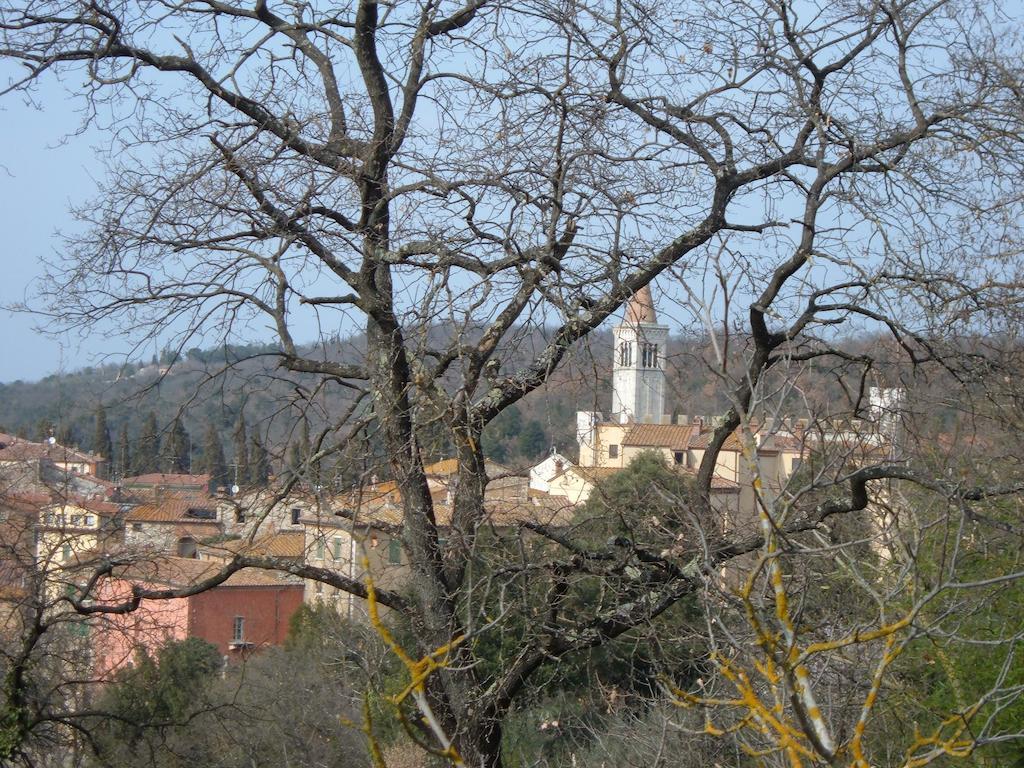 Casa Titty Leilighet Serre Di Rapolano Rom bilde